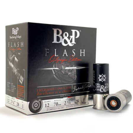 Baschieri & Pellagri The Flash